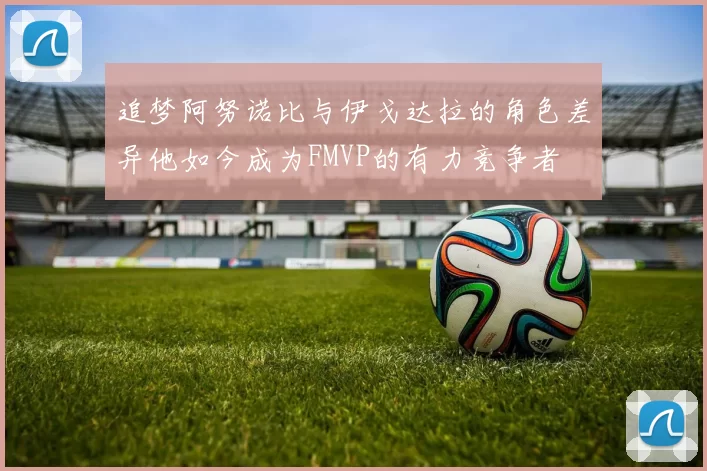 追梦阿努诺比与伊戈达拉的角色差异他如今成为FMVP的有力竞争者