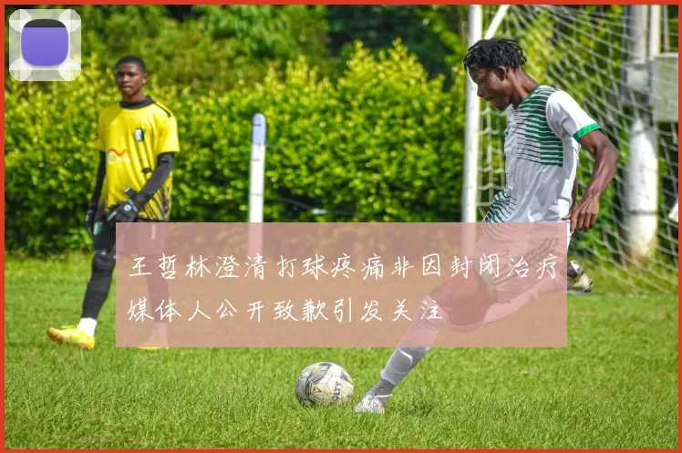 王哲林澄清打球疼痛非因封闭治疗媒体人公开致歉引发关注