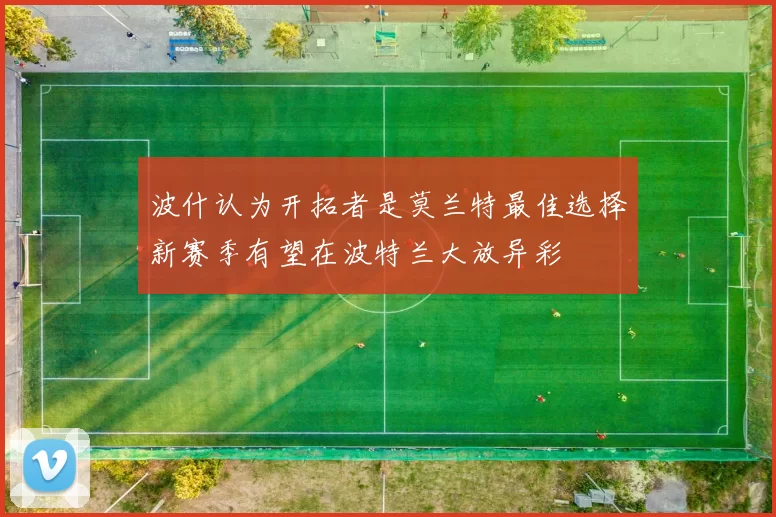 波什认为开拓者是莫兰特最佳选择新赛季有望在波特兰大放异彩