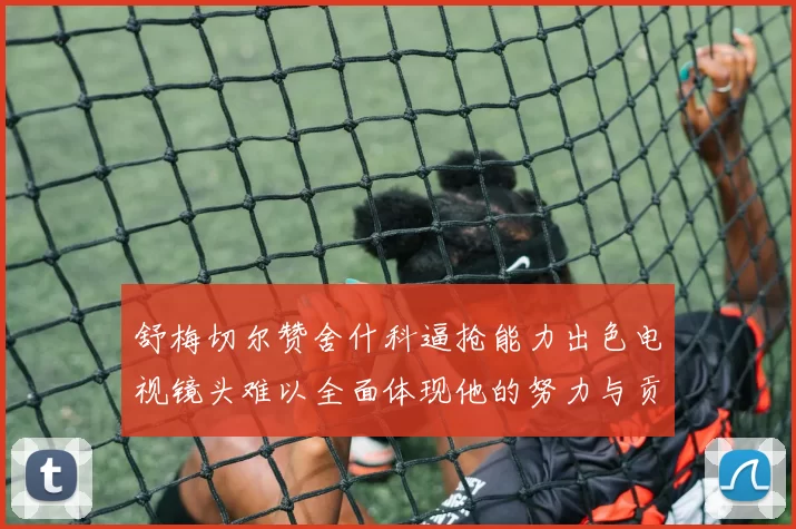 舒梅切尔赞舍什科逼抢能力出色电视镜头难以全面体现他的努力与贡献